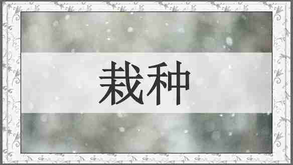 栽种