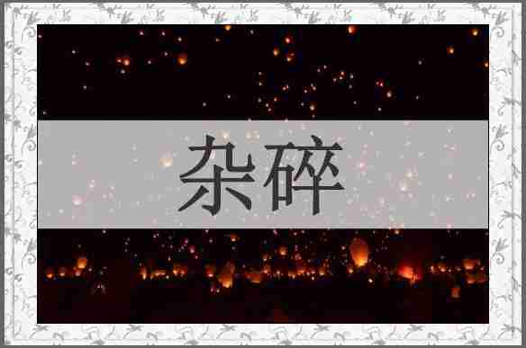 杂碎