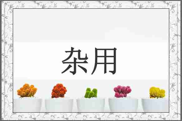 杂用