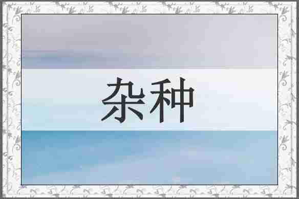 杂种