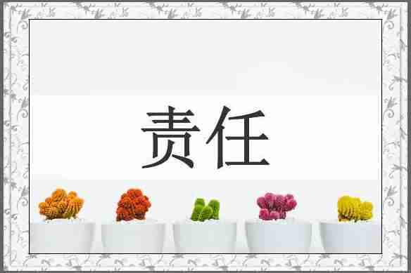 责任