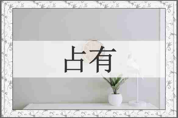 占有
