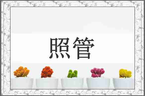 照管