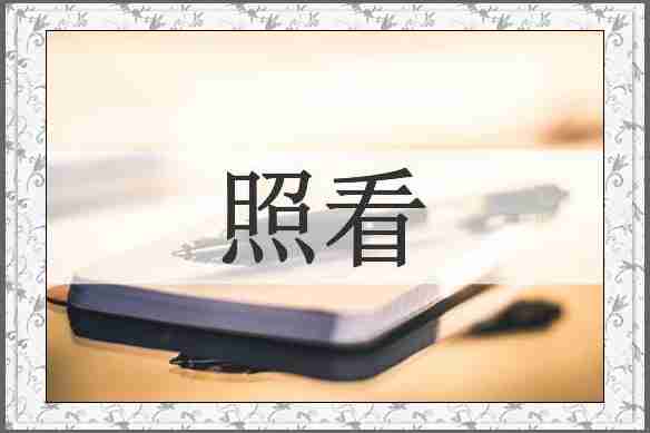 照看