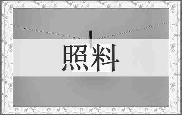 照料