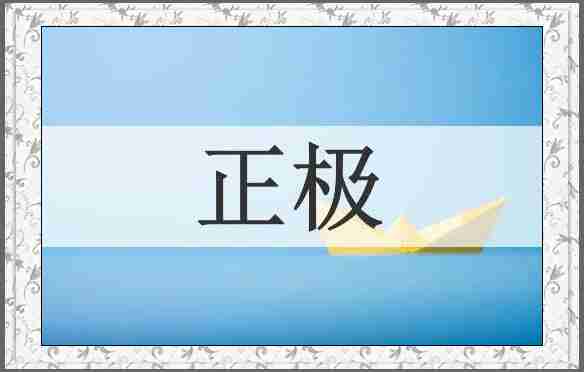 正极