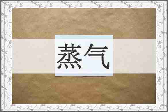 蒸气