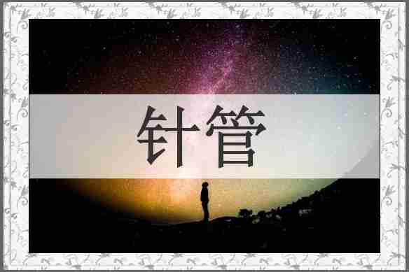 针管
