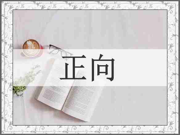 正向