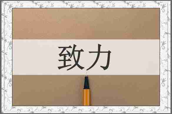 致力
