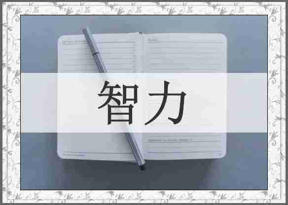 智力