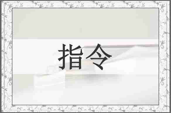 指令