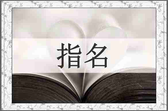 指名