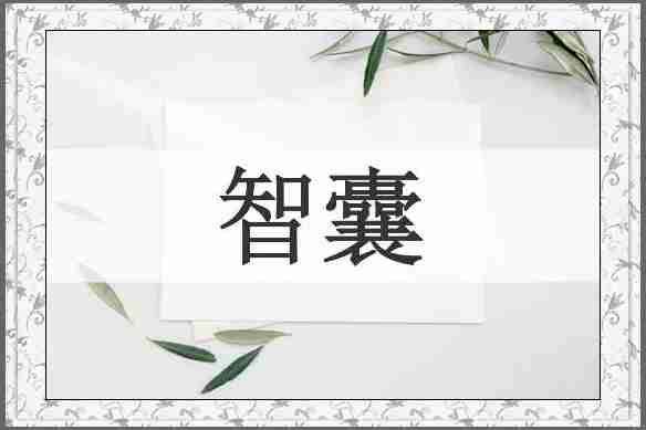 智囊