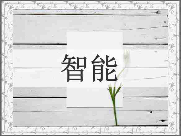 智能