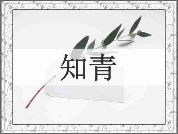 知青