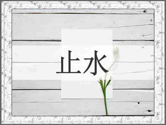 止水