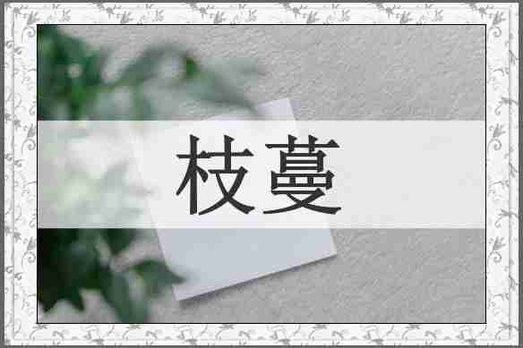 枝蔓