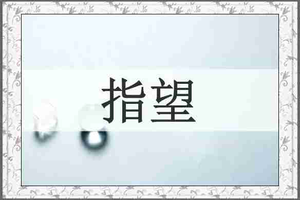 指望