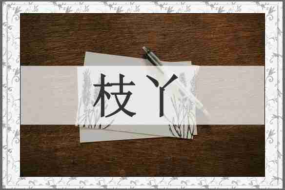 枝丫