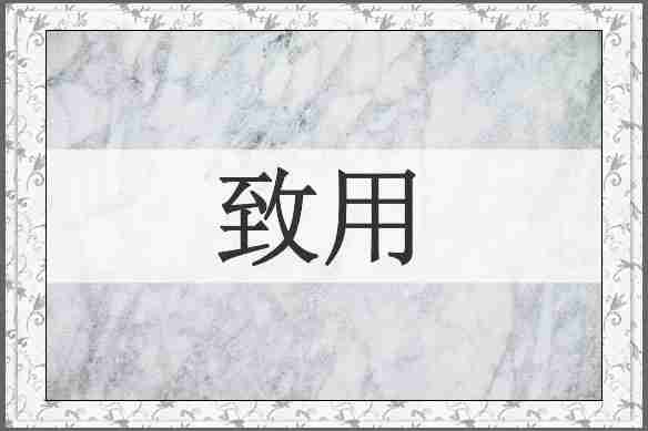 致用