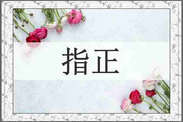 指正