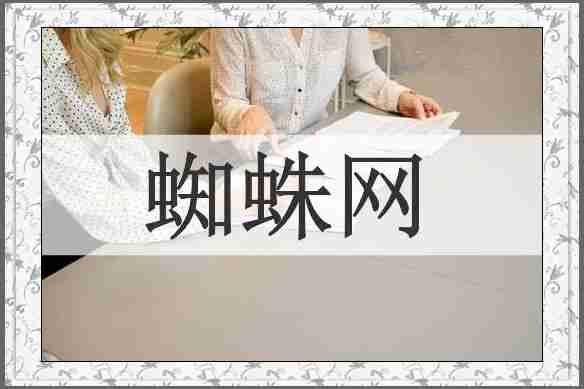蜘蛛网
