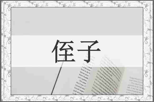 侄子