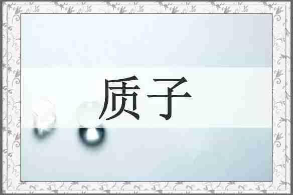 质子