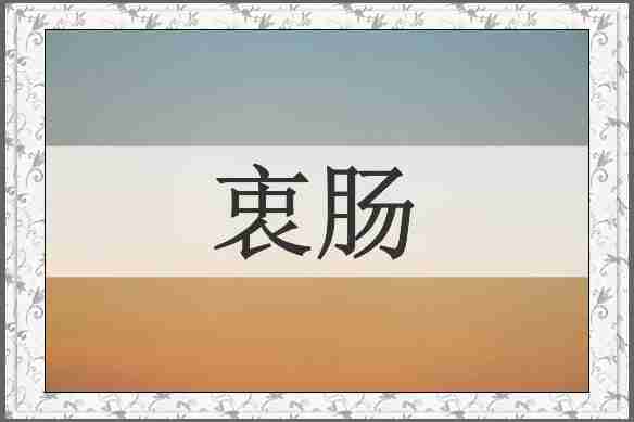 衷肠