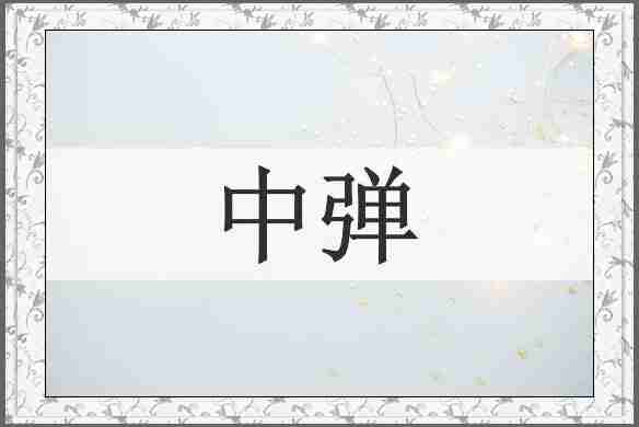 中弹