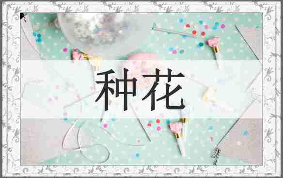 种花