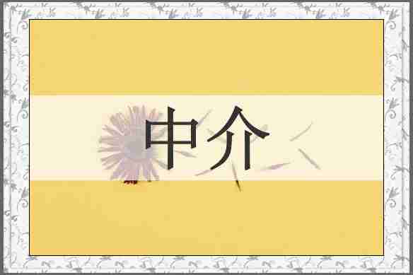 中介