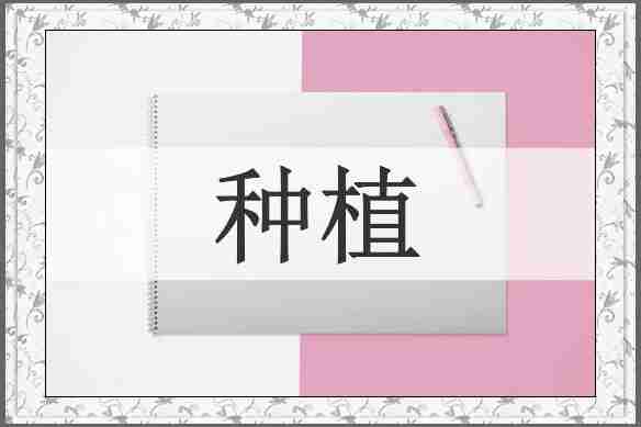 种植