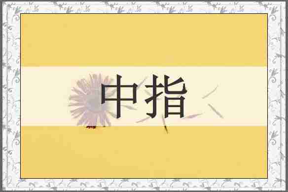 中指