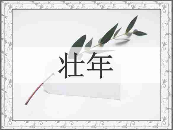 壮年