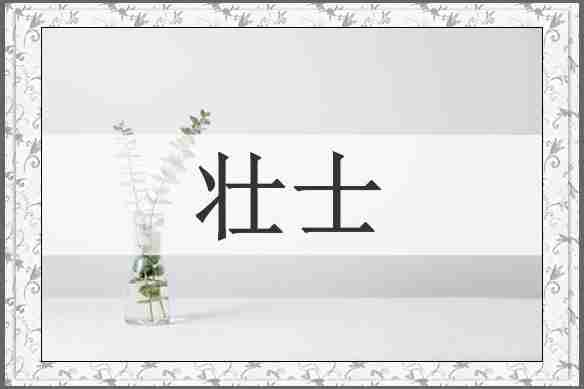 壮士