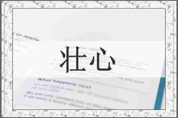 壮心