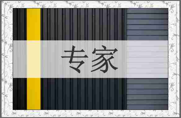 专家