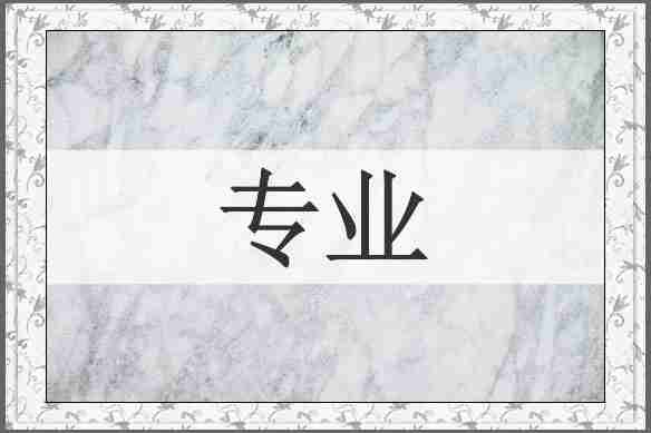 专业