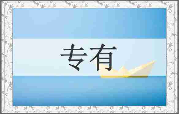 专有