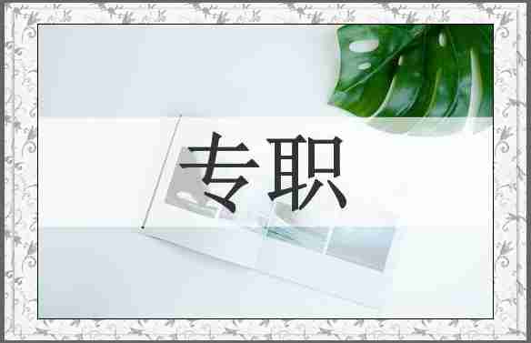 专职