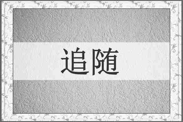追随