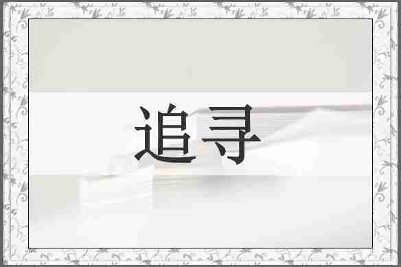 追寻