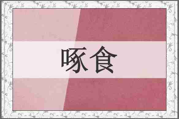 啄食