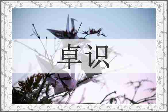卓识