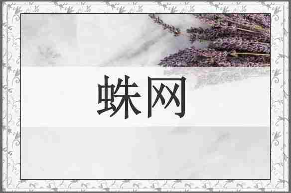蛛网
