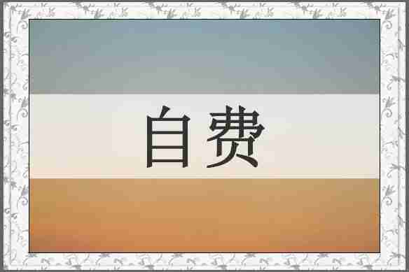 自费