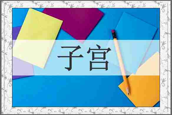 子宫