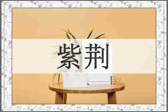 紫荆